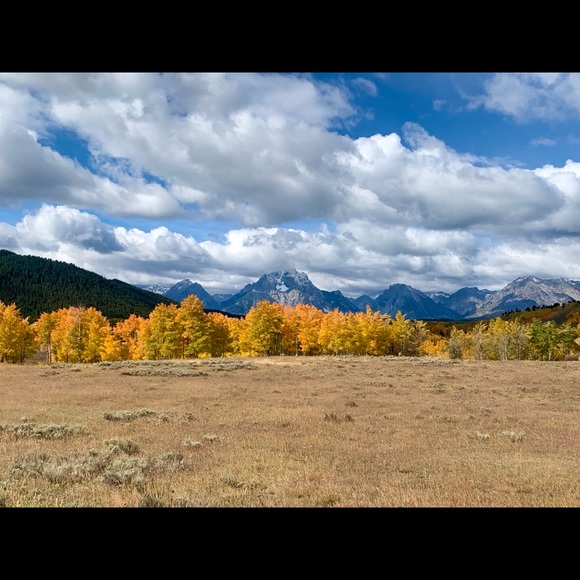 Hello Friends❤️ - Picture 6 of 8